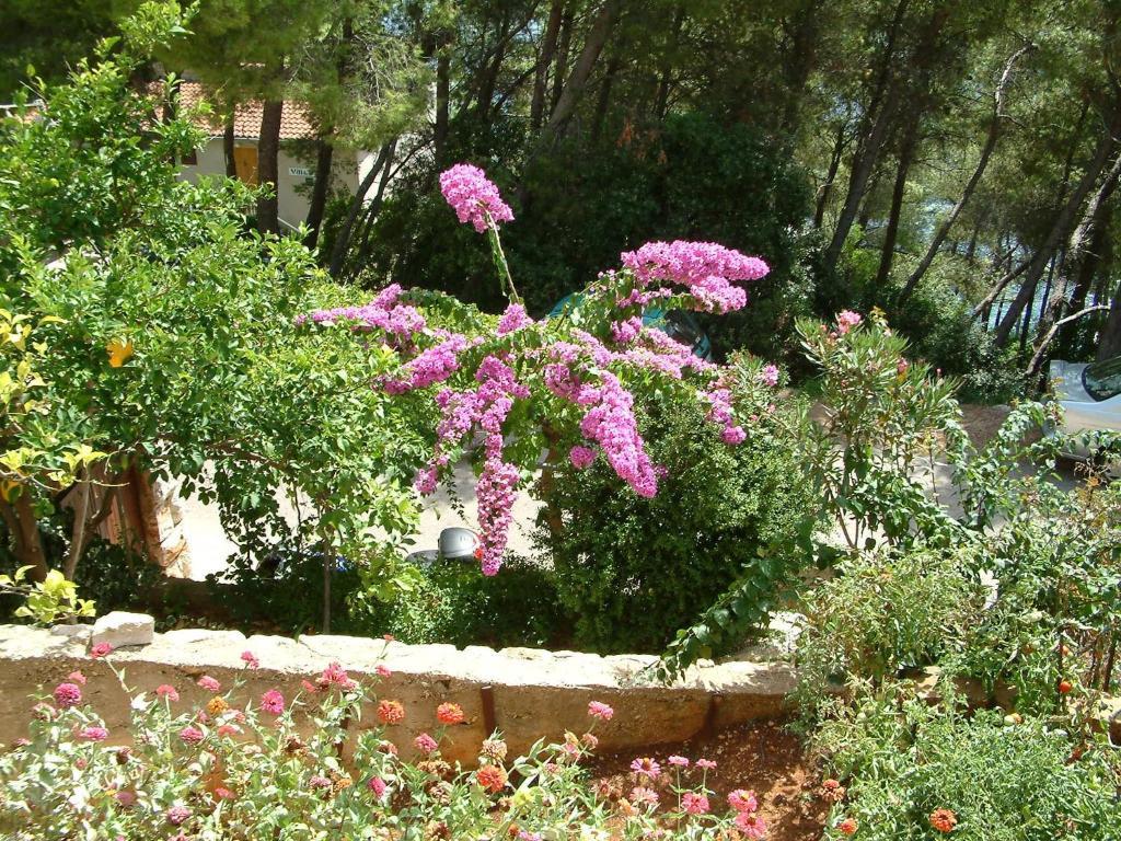 Apartments Bosnic Prizba Εξωτερικό φωτογραφία