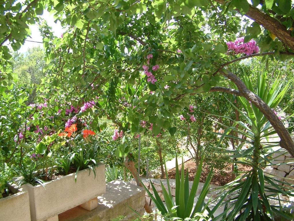 Apartments Bosnic Prizba Εξωτερικό φωτογραφία